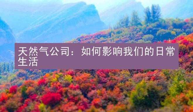 天然气公司：如何影响我们的日常生活