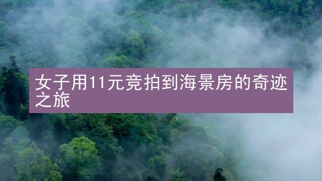 女子用11元竞拍到海景房的奇迹之旅