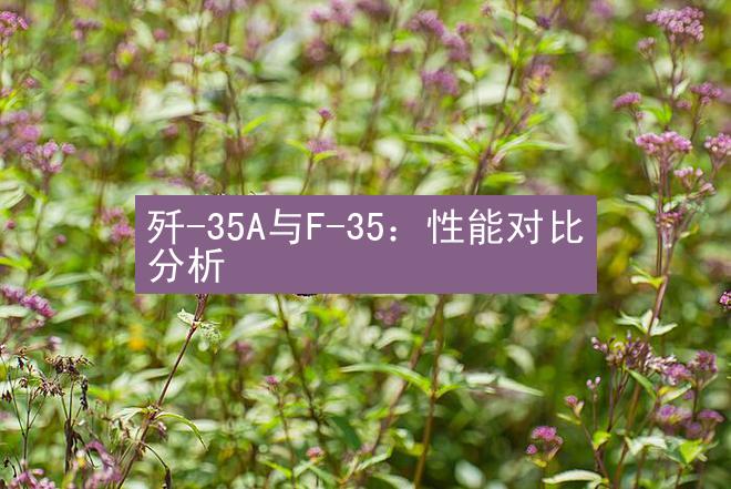 歼-35A与F-35：性能对比分析