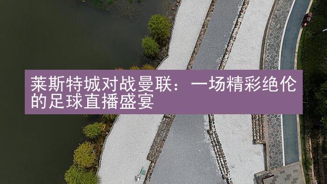 莱斯特城对战曼联：一场精彩绝伦的足球直播盛宴