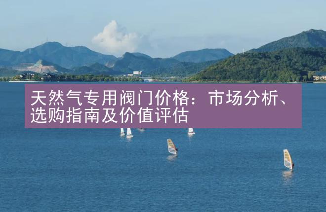 天然气专用阀门价格：市场分析、选购指南及价值评估