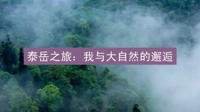 泰岳之旅：我与大自然的邂逅