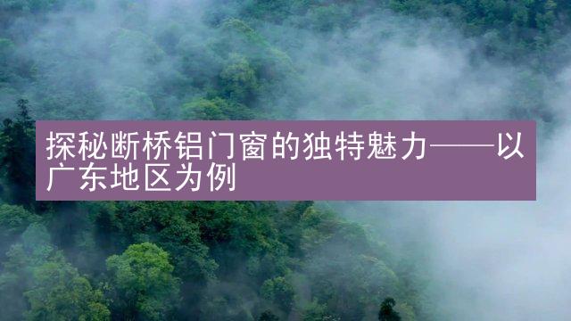 探秘断桥铝门窗的独特魅力——以广东地区为例