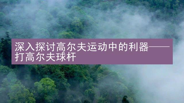 深入探讨高尔夫运动中的利器——打高尔夫球杆