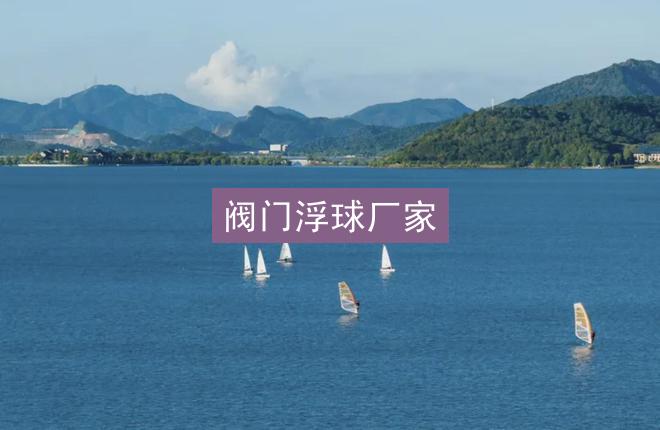 阀门浮球厂家