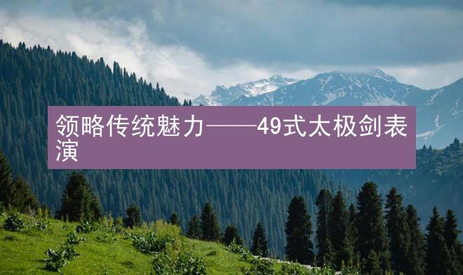 领略传统魅力——49式太极剑表演