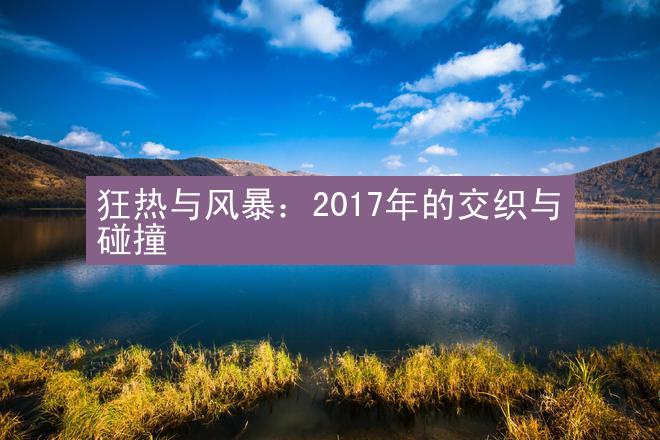 狂热与风暴：2017年的交织与碰撞